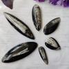 9Dzine Kuber Stone Original for Diwali Puja | Fossil Orthoceras Kuber Stone for Wealth, Prosperity & Success | Vastu Stone & Reiki Product (10-15 GM) view 2