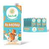 Only Earth Almond Milk - Barista Edition | Unsweetened Plant-Based Milk | Sugar Free | Non-Dairy & Lactose-Free | High in Calcium & Vitamins D, E, B1, B2, B12 | Preservative-Free | 1L (Pack of 12) view 1