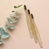 Adult Bamboo Eco-Friendly Wooden Manual Toothbrush With Soft Bristles (Pack Of 3) view 1