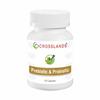 Crosslands Prebiotics and Probiotics Supplement Capsules for Men Women - 60 Capsules (Pack of 1) view 1