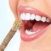 Santarms Ayurvedic Natural Organic Neem Datun Toothbrush Nim Tree Twigs Chew Sticks For Brushing Teeth Removes Bad Breath, Relieve Tooth Ache Teeth. Fresh Seed (Pack Of 25 Pieces) view 1