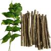 Fresh Organic Neem Datun Chew Sticks Neem Twigs for Better Tooth, Gems, Fresh Breath and Health/Neem Sticks/Vepa Pullalu /   - (50 Pc) view 2