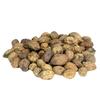 Mygodgift Badi Harad Whole | Badi Harad | Haritaki | Terminalia Chebula | Chebulic Myrobalan | Harra Whole | Sabut Harad (100g) view 1