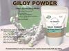 NKB Natural Giloy/Guduchi/Gulvel Stem Powder | Pure and Organic (250 gm*2) view 3