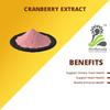 Herbaveda- Cranberry Powder 500g | Spray dried view 3