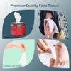Biogreen Cube Facial Tissue Pack of 6 | 80 pulls in each box cube facial tissue for car box view 2