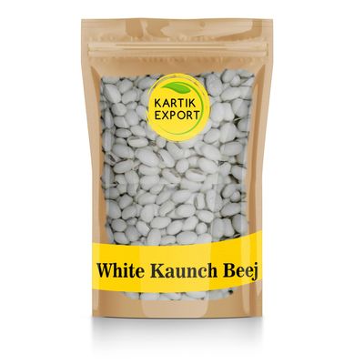 Kartik Export White Kaunch beej - Safed Koch ke beej - Mucuna Pruriens - Velvet Beans - Kapikachhu - Cowitch - Cowhage - Poonaikali Vidhai - 250 Gm