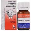 Dr. Reckeweg - Calcarea Phosphorica Tablets General Wellness - Pack Of 3 |3G24| view 1