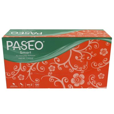 Paseo Smart for Everyday Softness Travel Pack Facial Tissues 100 Pulls 2 ply 200 Sheets Pack Of 2 Box