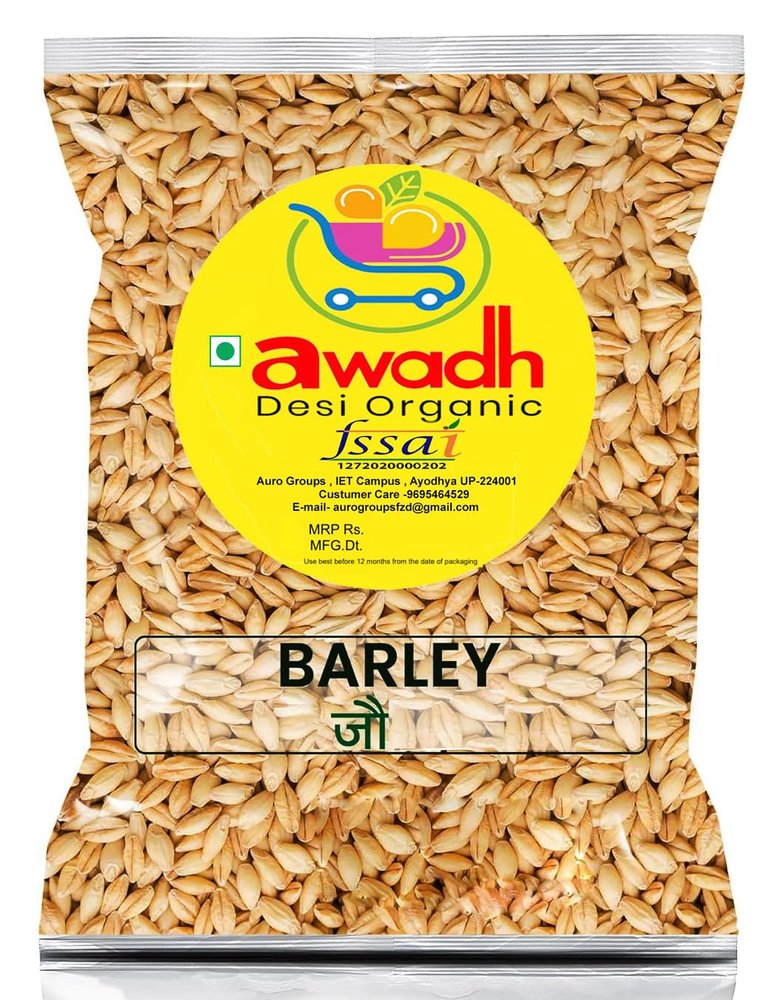 Awadh- Organic Whole Grain Barley Seeds 490g |Sabut Jau | Puja Jau | Havan Jao | Pooja Jao | Sabut Jau | Jau for Kalash | Desi Jau From Holy Land Ayodhya