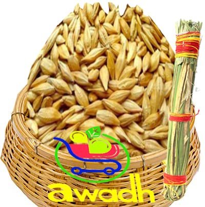 Awadh- Barley Seeds 450g with Dry Khush Grass |Sabut Jau | Puja Jau | Havan Jao | Pooja Jao | Sabut Jau | Jau for Kalash | barli | Barliarisi | Valkothumai |Jave | Godhi Jaun Jab Juvar Cheno Satu