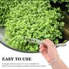 ULTECHNOVO Stainless Steel Tweezer Bonsai Tweezer Long Handle Straight Tweezers Nippers with Serrated Tips Moss Potted Crafting Tweezer Tool Professional Tongs Tool for Garden view 3