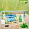BENTODENT TOOTHPASTE 100% Organic Mint Paste for Fresh Breath and Healthy Gums with Toothbrush, SLS and Fluoride-Free,Gentle Cleaning, Whitening Action, Safe for Kids and Adults, (Mint Toothpaste +Toothbrush) view 2