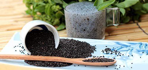 EasySeeds Shyama Tulsi, Holy Tulsi, Krishna Tulsi, Tulsi, Holy Basil, Ocimum tenuiflorum Seeds Pack of (400 Seeds)