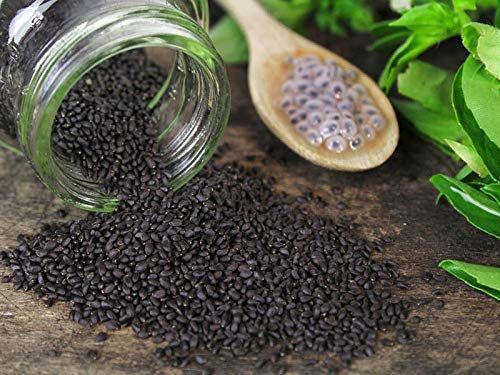 EasySeeds Shyama Tulsi, Holy Tulsi, Krishna Tulsi, Tulsi, Holy Basil, Ocimum tenuiflorum Seeds Pack of (500 Seeds)