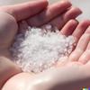 Sampige Pure Natural Sea Salt|Unrefined Goodness for Culinary Delight|Pure Natural sea salt- Chemical free processed-Hand cleaned|2.7 kg - 2700 Gram view 2