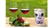 ZM Wine Yeast for Making and Fermenting Wine/Fast Fermentation Wine Yeast - 100g view 2