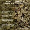 TEACURRY Himalayan Mullein Tea (50 Grams, 100 Cups) - Helps with Asthma, Lung Detox, Immunity and Easy Sleep - Australian Mullein Leafs view 3