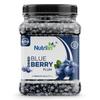 Nutrilin Dried Blueberry Plum 250g | Sweet & Chewy Premium Dried Blueberry Plum | Rich in Antioxidants | Healthy Snacking | Jar Pack for Freshness view 1
