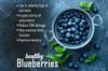 Nutrilin Dried Blueberry Plum 250g | Sweet & Chewy Premium Dried Blueberry Plum | Rich in Antioxidants | Healthy Snacking | Jar Pack for Freshness view 4