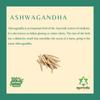 Ayurvedix Ashwagandha Ark | Hydrosol | (Pack of 2) view 2