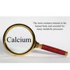 Sharrets Calcium Gluconate Powder 500g - A Versatile Food Additive for Health-Conscious Living. view 3
