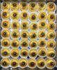 Edible Gold Leaf Gold Leaves 24 Karat 2 x 2 inch for Cakes, Bakers, Facial, Sweet Royal Drinks Pack of 10 view 4