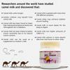 Growing Villagermis Camel Raw Milk Powder | Fresh And Organic Freeze Dried Camel Dry Milk Powder | Gluten Free No Additives No Preservatives | 300 Grams view 2
