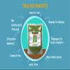 MALA : Thulasi Powder | Tulasi Powder | Basil leaves powder - 100 G view 2