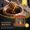FLAVORS OF KERALA (FOK) | Wild Wayanadan Honey | Pure Wild Forest Honey in Glass Jar | No Added Sugar or Adulteration | Immunity & Energy Boosting Forest Honey (500 GM) view 3