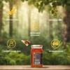 FLAVORS OF KERALA (FOK) | Wild Wayanadan Honey | Pure Wild Forest Honey in Glass Jar | No Added Sugar or Adulteration | Immunity & Energy Boosting Forest Honey (500 GM) view 4