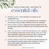 Hollywood Secrets Pure Lemon Essential Oil Therapeutic Grade 50ml view 4