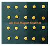 ACi Byol Magnet for Sujok Therapy Magnet Set of 10 (Medium) view 2