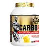 Dexter Jackson Carbo Plus | Mango Juice Flavor | 2268g, 5 lbs - 91 Servings | Premium Carbohydrate Blend for Endurance & Muscle Recovery | Fast Absorption | Energy Boost view 1