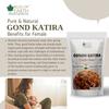 Bliss of Earth Organic Triphala Powder Churna & Organic Gond Katira Tragacanth Gum 100 gm Pack of 2 view 3