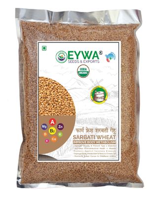 Eywa Seeds & Exports Pvt Ltd Organic Sarbati Wheat Grains 10 Kgs For Eating And Cookings|Premium Grains/Gehu By Eywa
