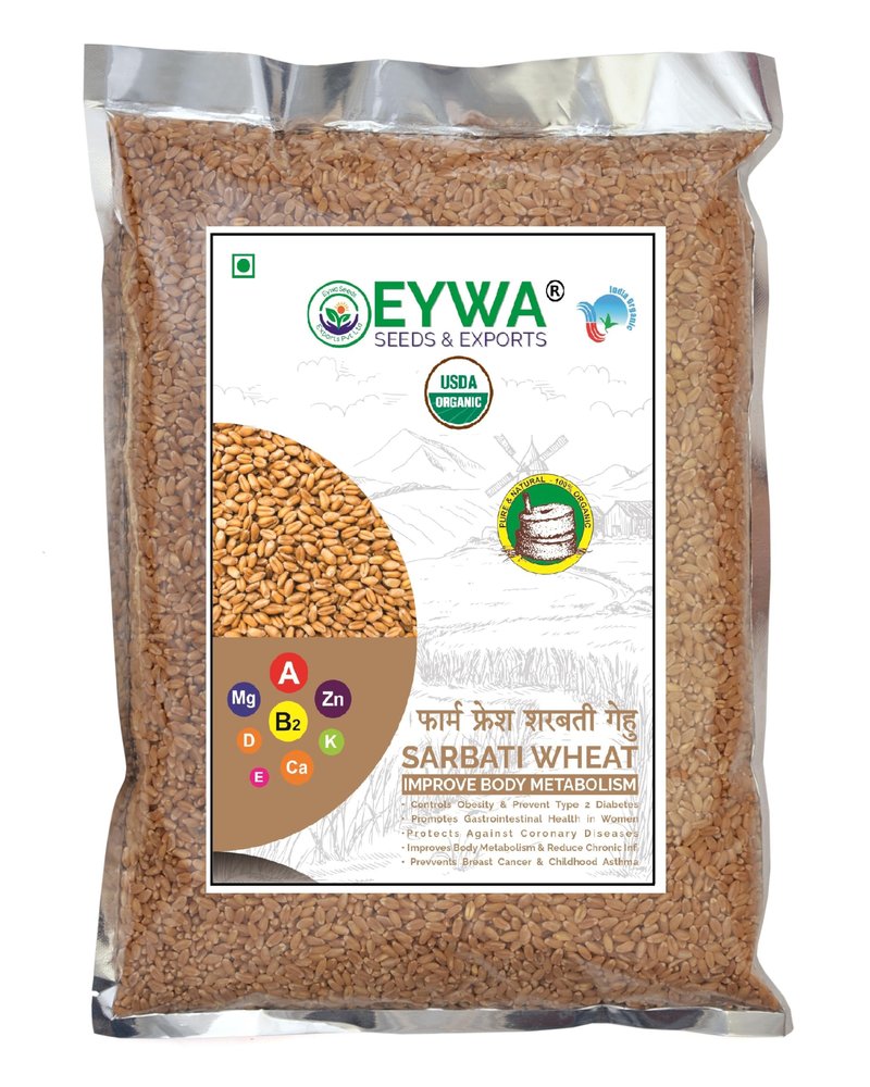 Eywa Seeds & Exports Pvt Ltd Organic Sarbati Wheat Grains 10 Kgs For Eating And Cookings|Premium Grains/Gehu By Eywa