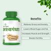 Ashwagandha Helps in Stress Management, Improve Energy and Stamina | For Men & Women Capsules- 60 view 2