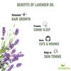 Homeda Tea Tree and Lavender Essential Oil (30 ML each) for Hair Growth, Diffuser, Sleep, Skin Acne, Face, Body, Massage, Bath, 100% Pure Natural Aroma Essence Oil view 4