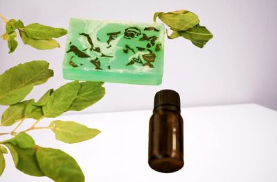 Neemful Tulsi
