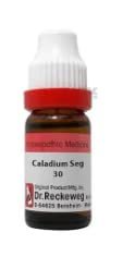 Dr.R/W Caladium Seguinum 30-11ml - Pack of 2