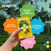 Woolah Rare Assam Green Tea With Lemon Bagless Whole Leaf Naturally Grown Tea Dip 15 Pcs (30 Cups) Rich In Antioxidants, Helps In Relieving Stress, Supports Skin And Heart Health view 4