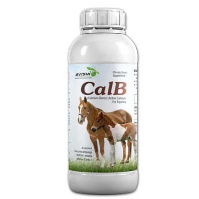 Avishi CalB (Calcium & Boron) Active Duo for Horses (1 LTR.) | Boron Complex
