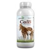 Avishi CalB (Calcium & Boron) Active Duo for Horses (1 LTR.) | Boron Complex view 1