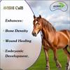 Avishi CalB (Calcium & Boron) Active Duo for Horses (1 LTR.) | Boron Complex view 3