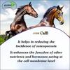 Avishi CalB (Calcium & Boron) Active Duo for Horses (1 LTR.) | Boron Complex view 4