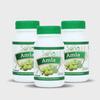 Sona Amla Powder Capsules supports Immunity Booster - 60 Capsules (Pack of 3) view 1