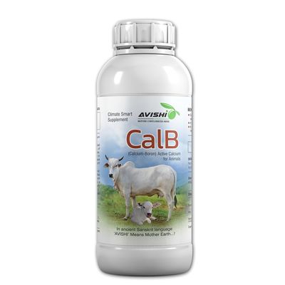 Avishi CalB Boron Active Calcium Duo for Cattle | Calcium-Boron Complex (500 ML)