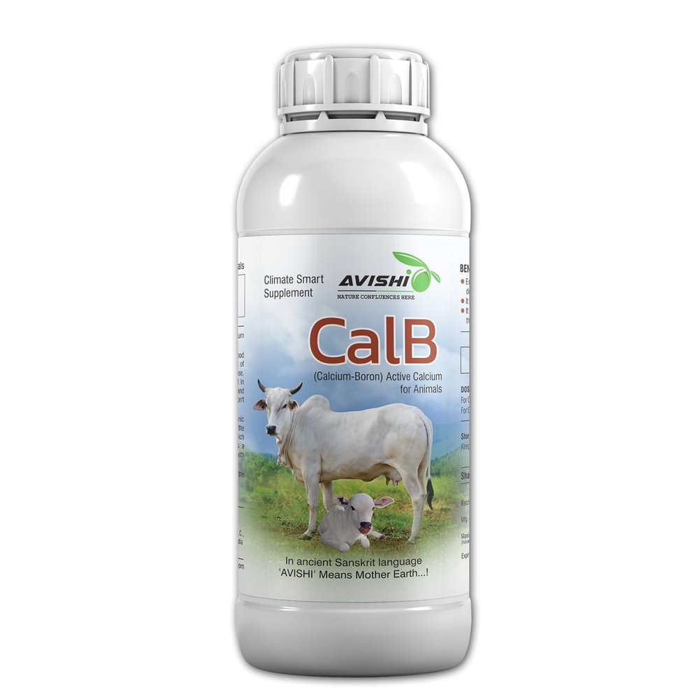 Avishi CalB Boron Active Calcium Duo for Cattle | Calcium-Boron Complex (500 ML)
