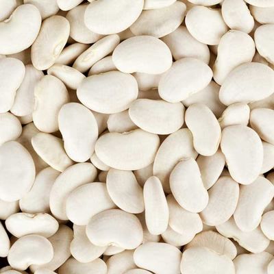 Butter Beans 1KG / Double Beans/Lima Beans Organic White by Amirtham Organic Foods